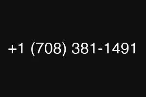 +1 (708) 381-1491