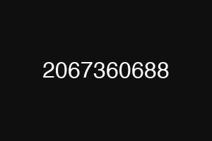 2067360688