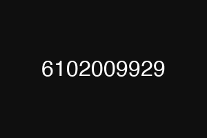 6102009929